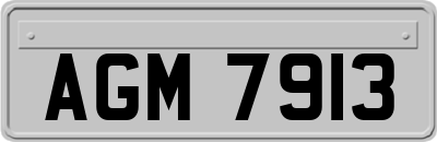 AGM7913