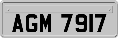 AGM7917