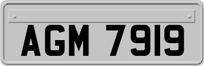 AGM7919