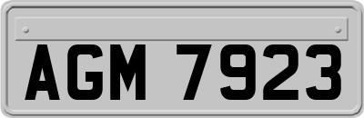 AGM7923