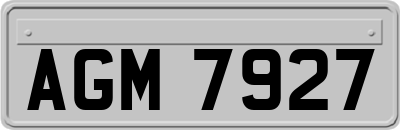 AGM7927