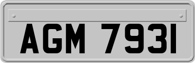 AGM7931