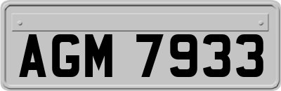 AGM7933