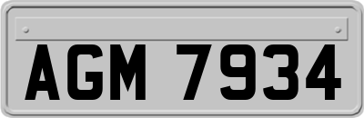 AGM7934