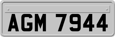 AGM7944