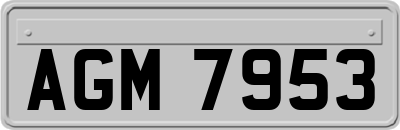 AGM7953