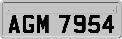 AGM7954