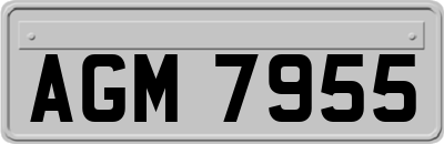 AGM7955