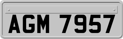 AGM7957