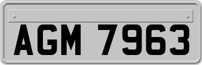 AGM7963