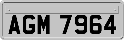 AGM7964