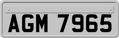 AGM7965