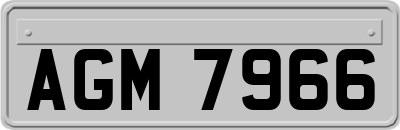 AGM7966