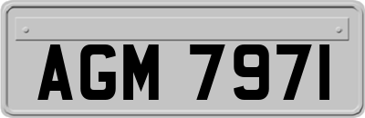 AGM7971