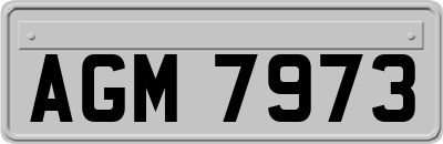 AGM7973