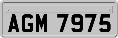 AGM7975