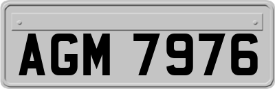 AGM7976
