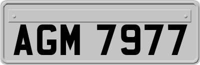 AGM7977