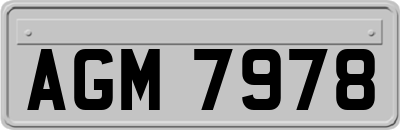 AGM7978
