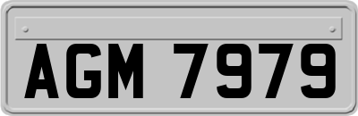 AGM7979