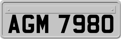 AGM7980
