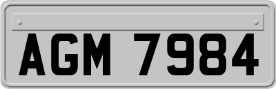 AGM7984