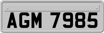 AGM7985