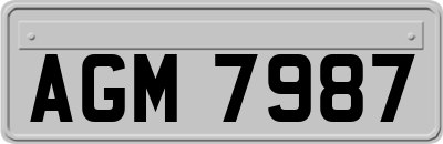 AGM7987