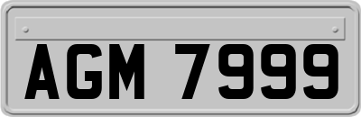 AGM7999