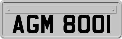 AGM8001
