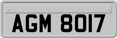 AGM8017