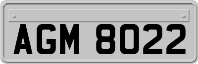 AGM8022