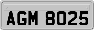 AGM8025
