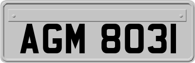 AGM8031