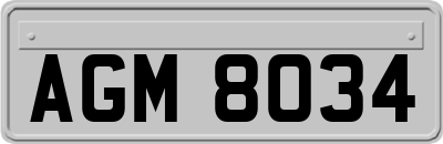 AGM8034