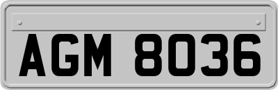 AGM8036
