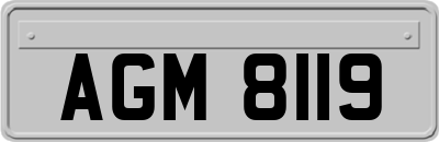 AGM8119