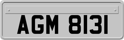 AGM8131