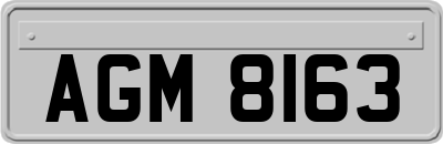 AGM8163