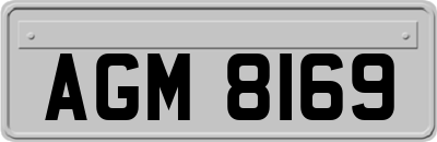 AGM8169
