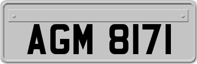 AGM8171