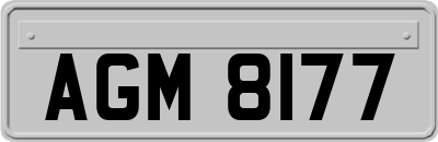 AGM8177
