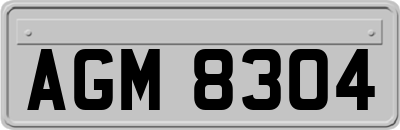 AGM8304
