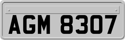 AGM8307