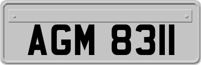 AGM8311