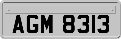 AGM8313