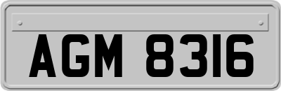 AGM8316