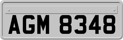 AGM8348