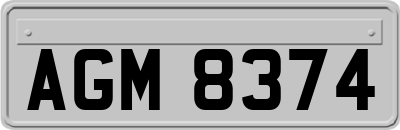 AGM8374