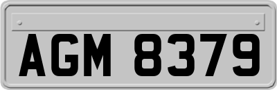 AGM8379